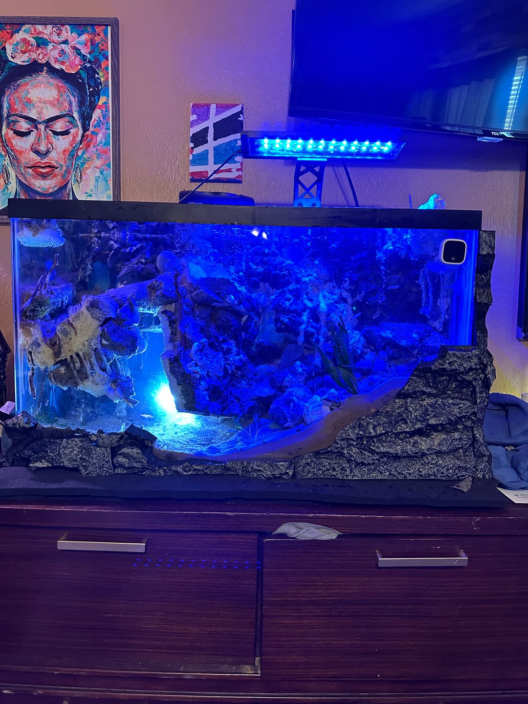 Customer photo review of Green Rili Shrimp