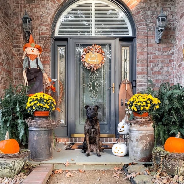 Customer photo review of Harvest Light Preset collection