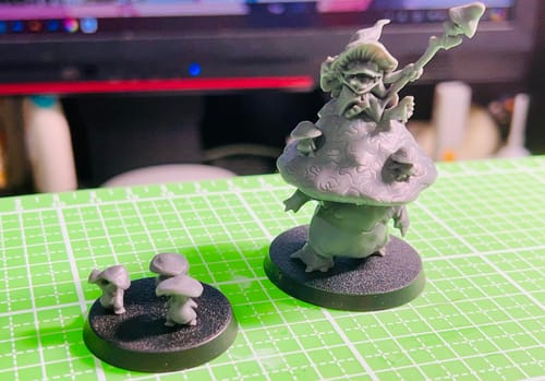 Customer photo review of The Mushroom Mage