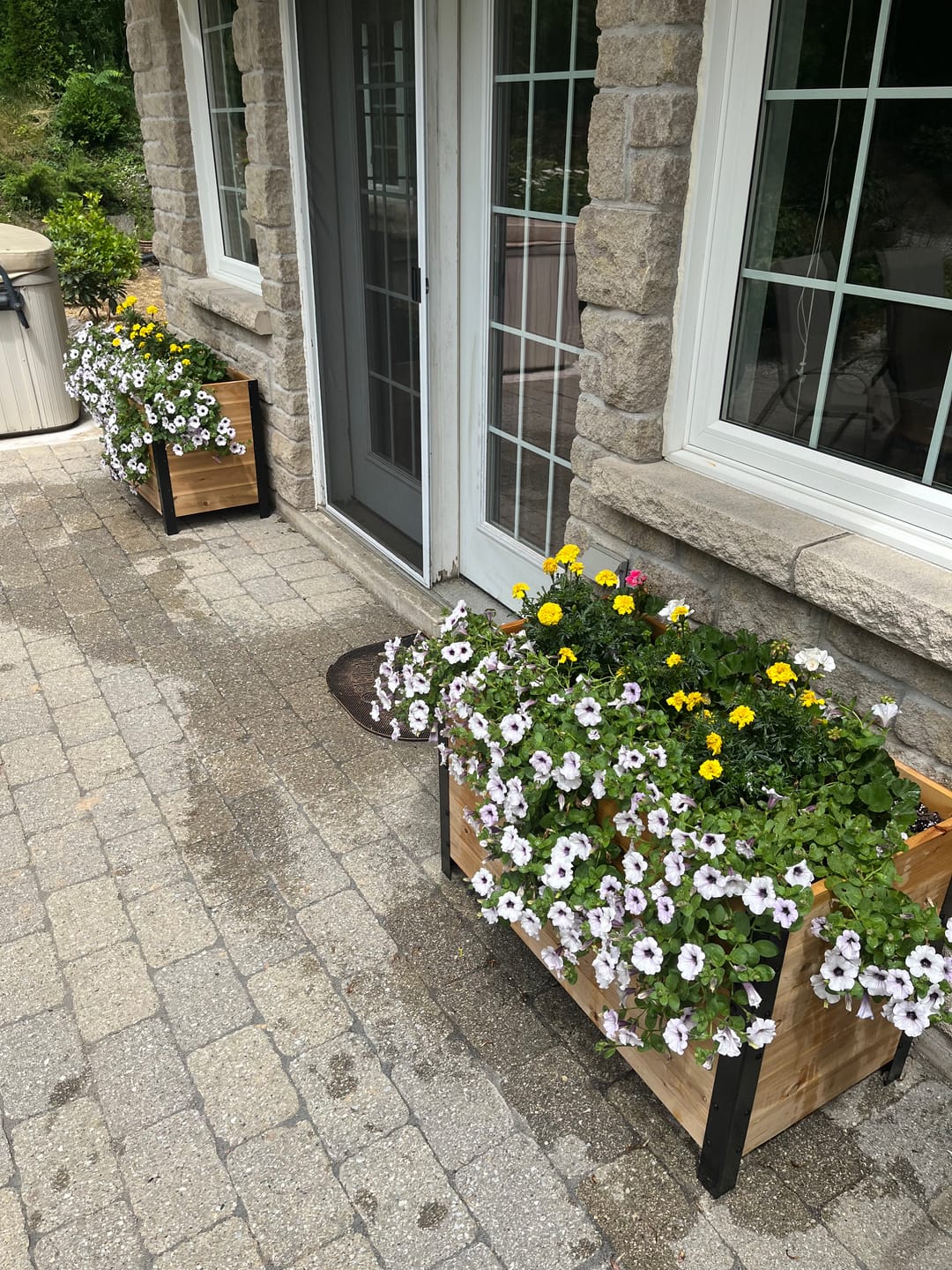 Customer photo review of 18" x 36" Planter Box - 24" Tall