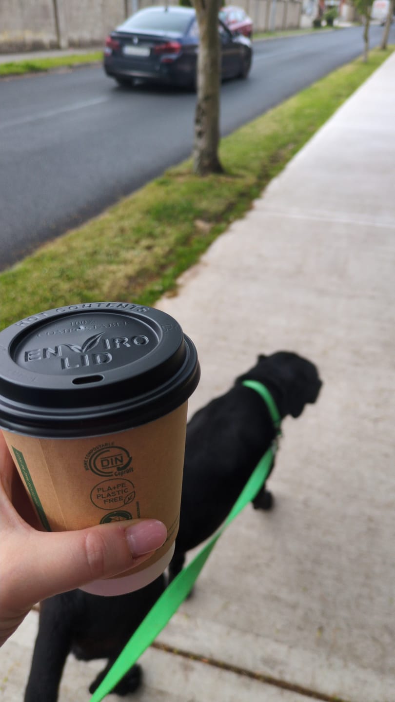 Customer photo review of City leash (Hands-free)