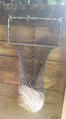 Customer photo review of Hay Chix® Panel Feeder