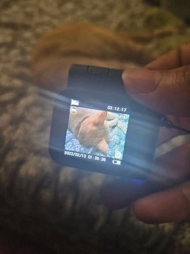 Customer photo review of MiniSnap Camera