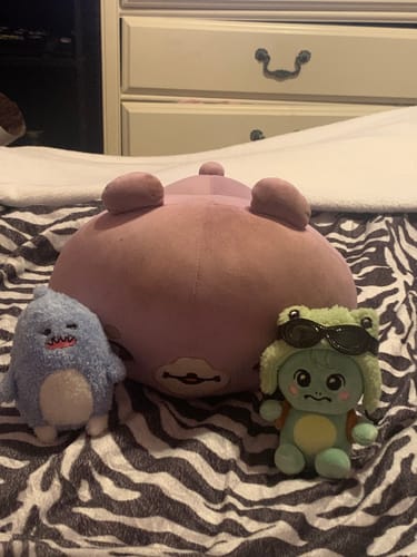 Customer photo review of MONSTA X  KIHYUN - HAMSANGYI & HAMSGYI Mini Doll Official Character MD