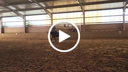 Customer video review of Balancezügel Pro CR für den Fortgeschrittenen Reiter