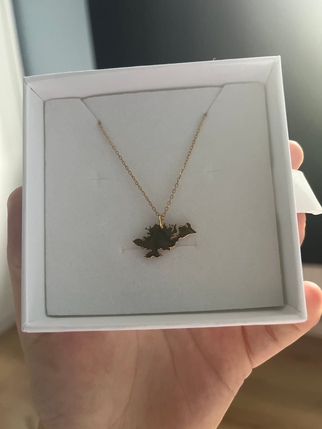 Customer photo review of Donegal Necklace