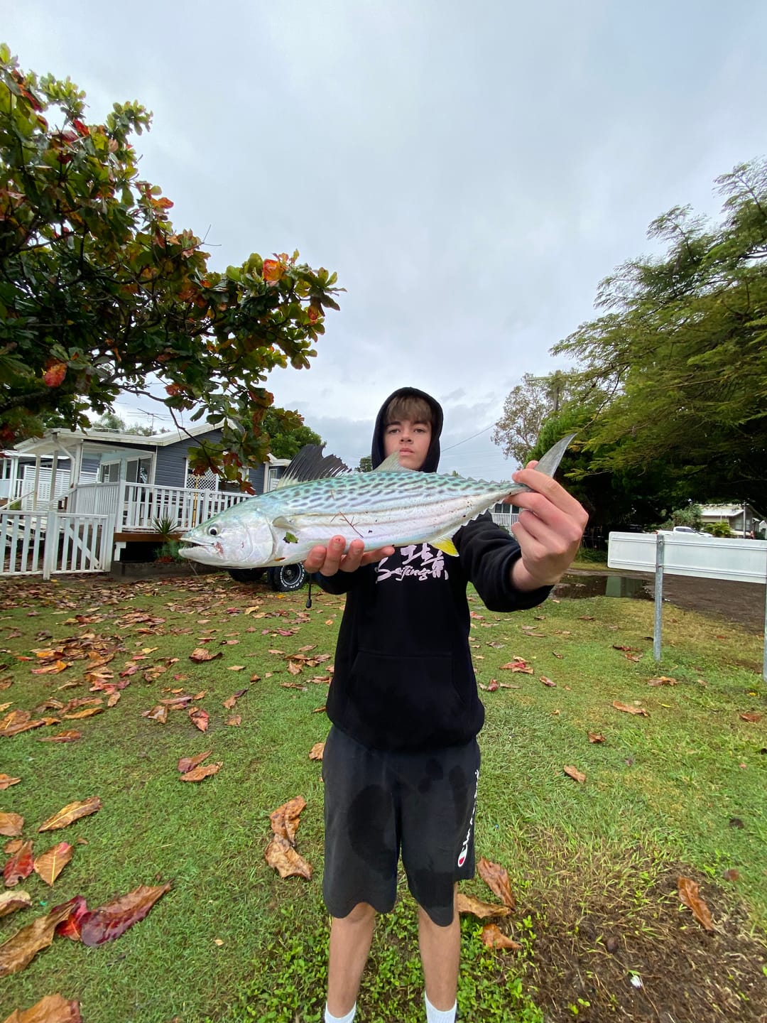 Customer photo review of GUPPIE SHAD - 2.25"