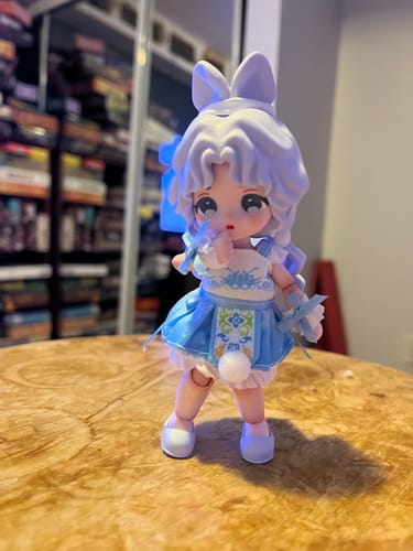 Customer photo review of Yun Lai Food Shop Series 2 BJD Blind Box