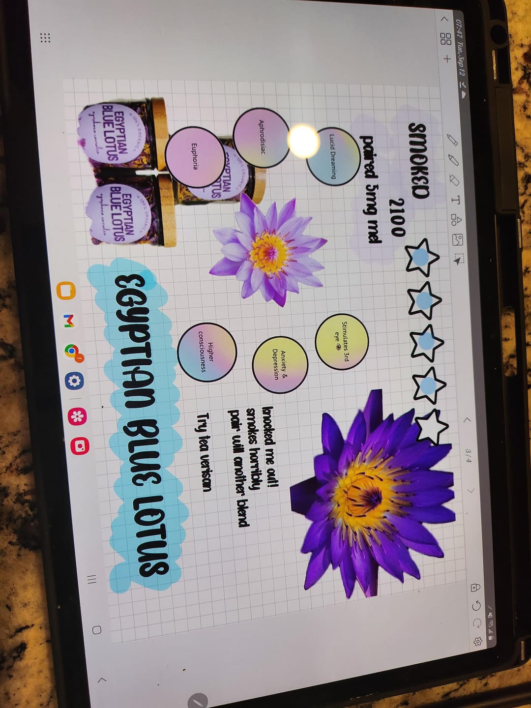 Customer photo review of Egyptian Blue Lotus • Petals