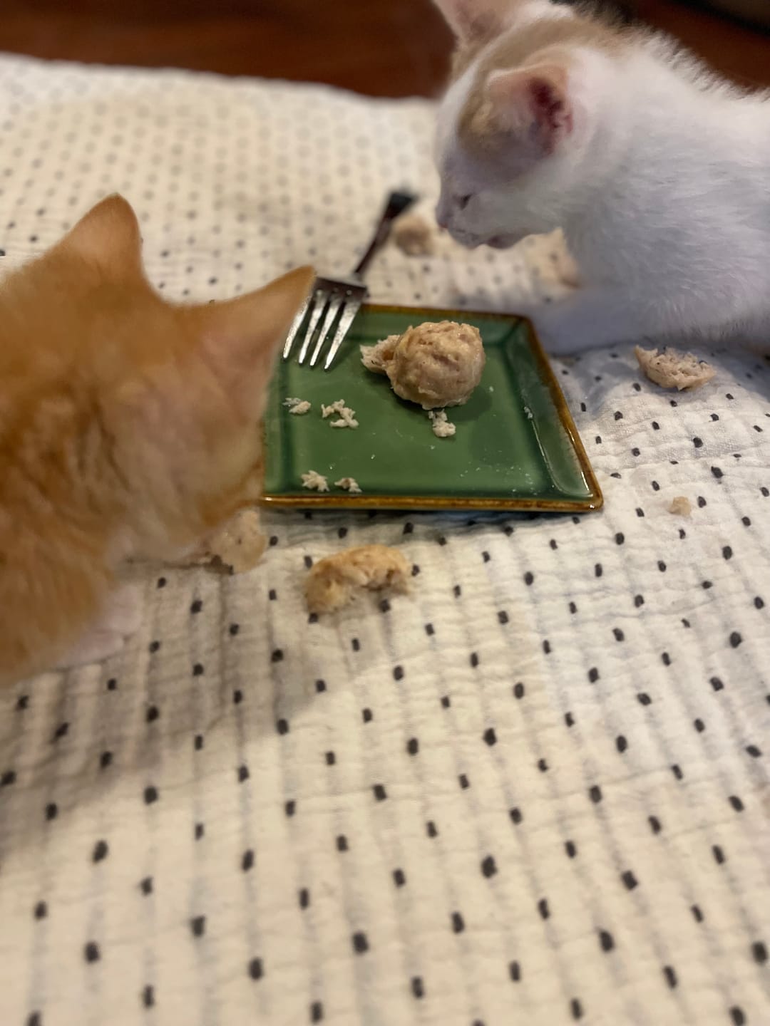 Customer photo review of Cluckin' Good Chicken Balls Cat and Dog Treats