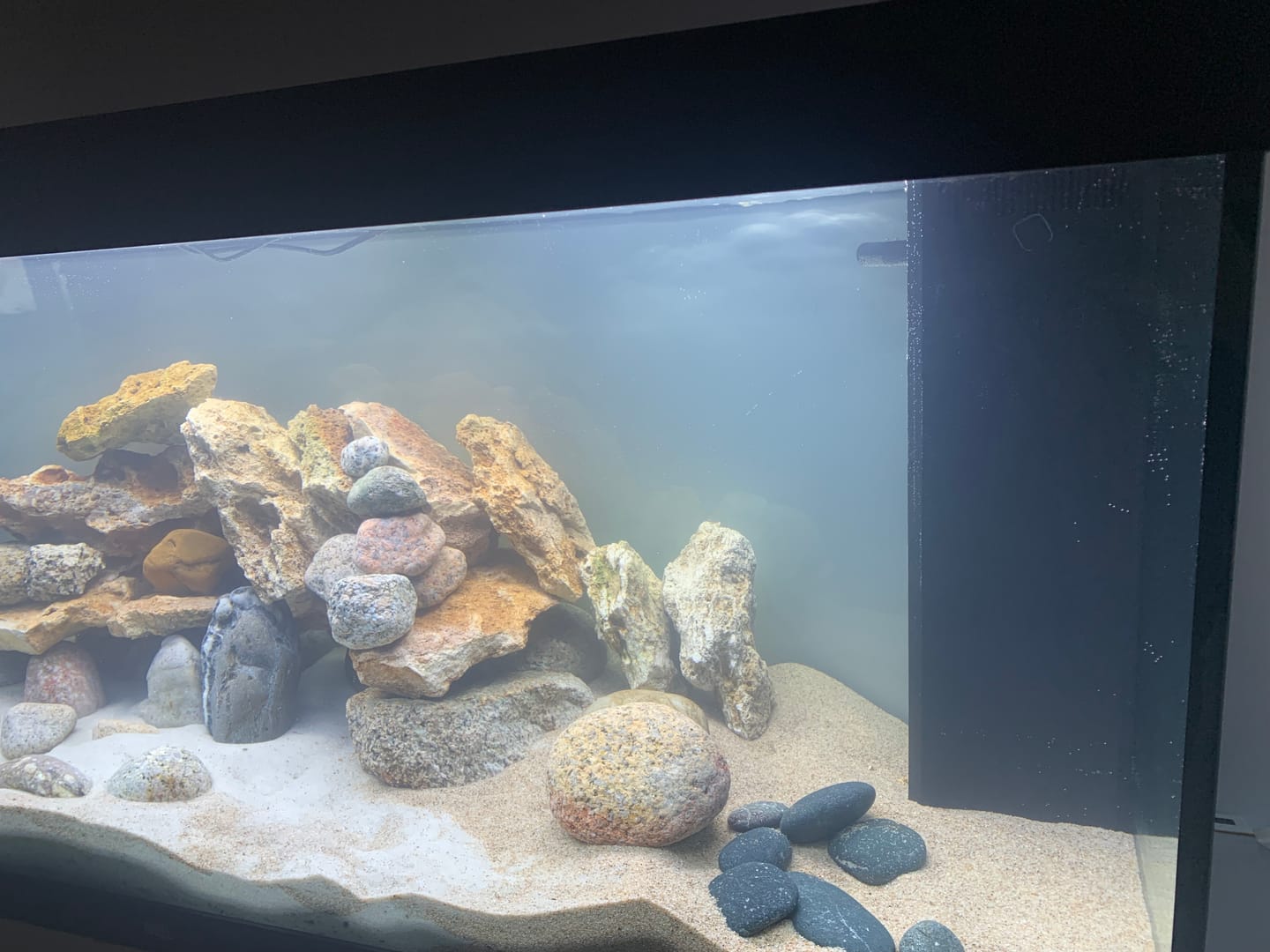 Customer photo review of Aquarium Rio 450 LED Noir Équipé JUWEL - 450L