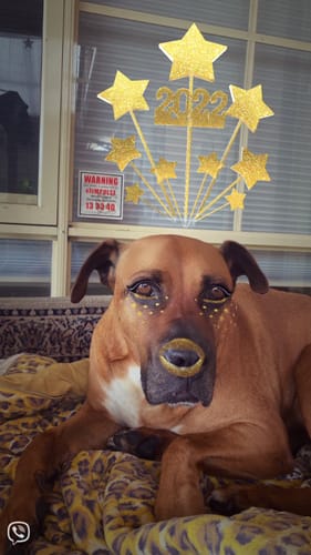 Lorraine M. review of FREE Taste Testing Bundle image 1 out of 2