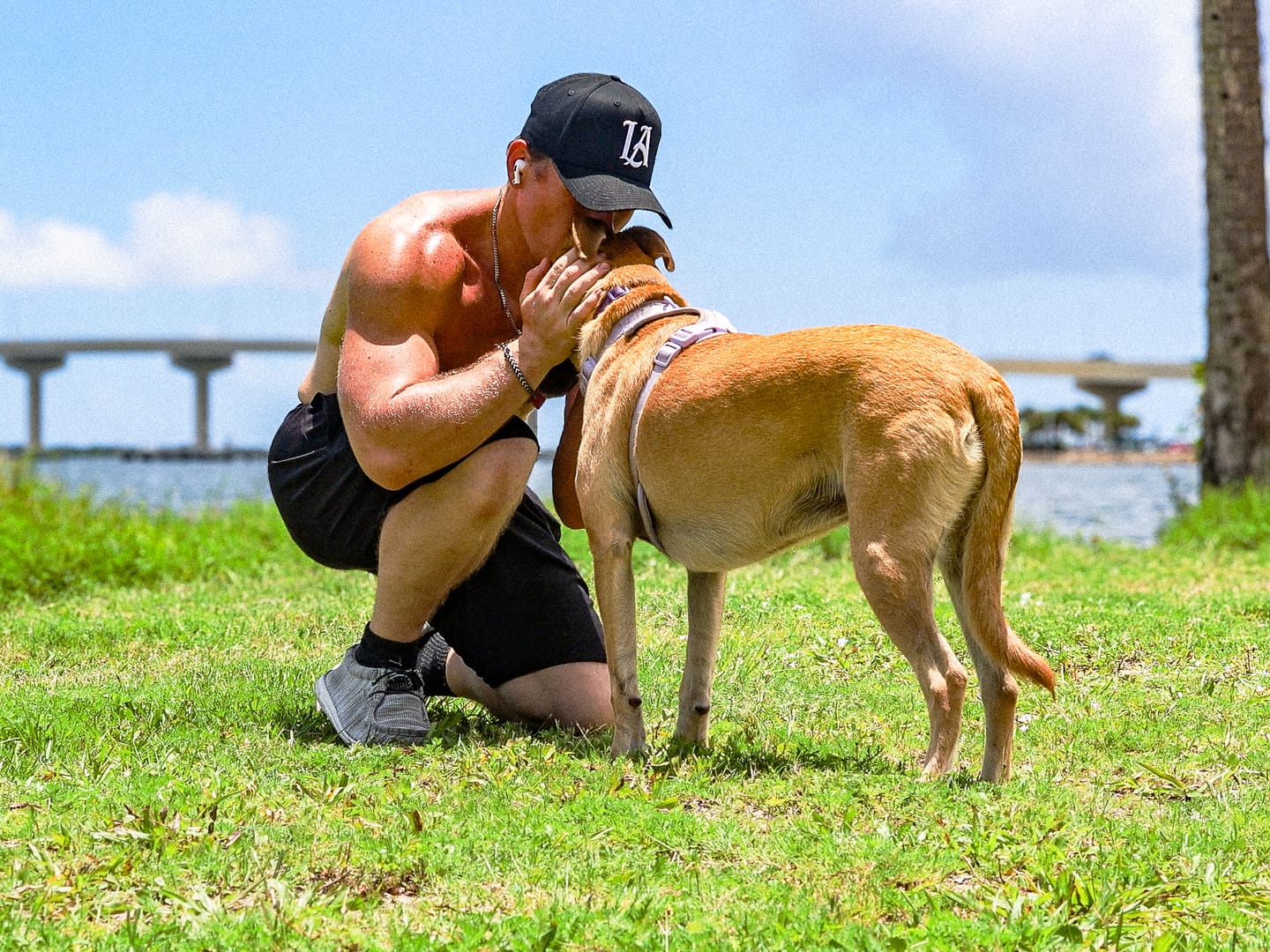 Customer photo review of 920 A-Frame LA Snapback Hat 2.0