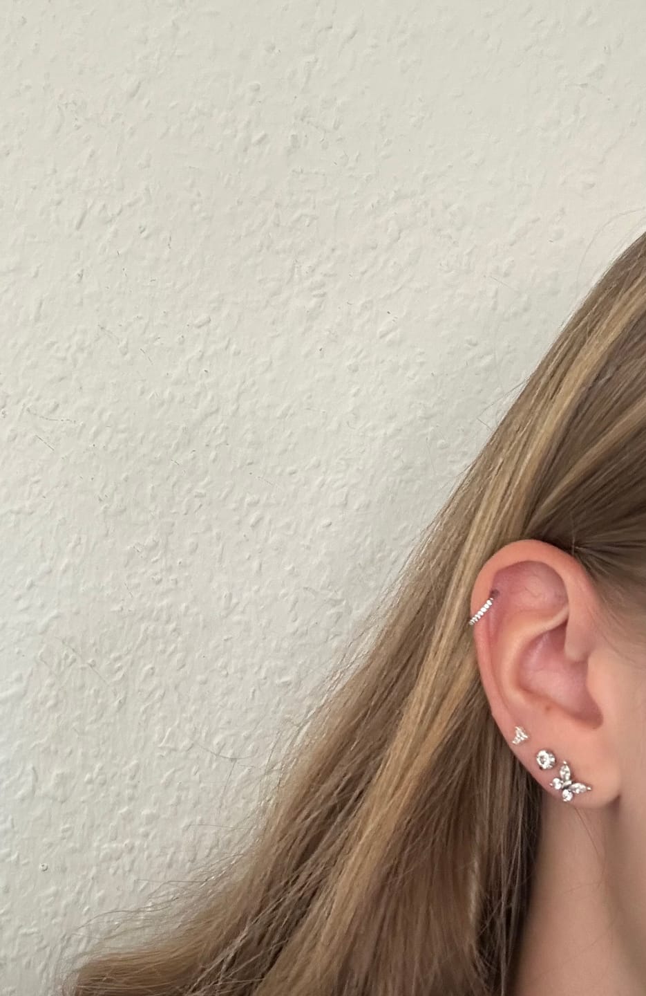Customer photo review of HI-LIFE Crystal Clicker Piercing