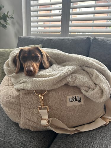 Customer photo review of The Cosy Car Seat