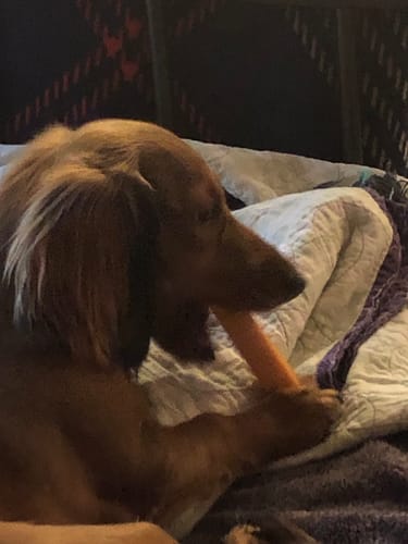 Customer photo review of BANANA YAK CHEWS
