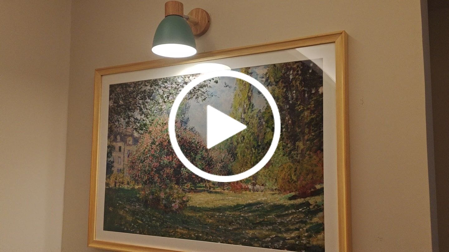 Customer video review of Landscape The Parc Monceau, Claude Monet Art Painting