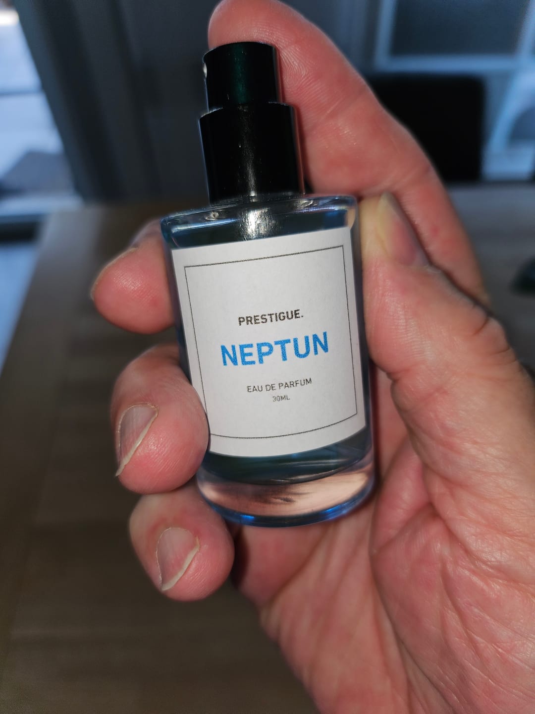 Customer photo review of NEPTUN