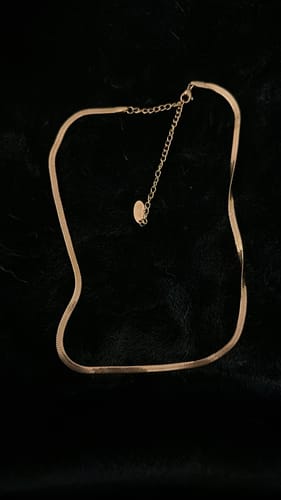 Customer photo review of Hi-Life Sleek Kette