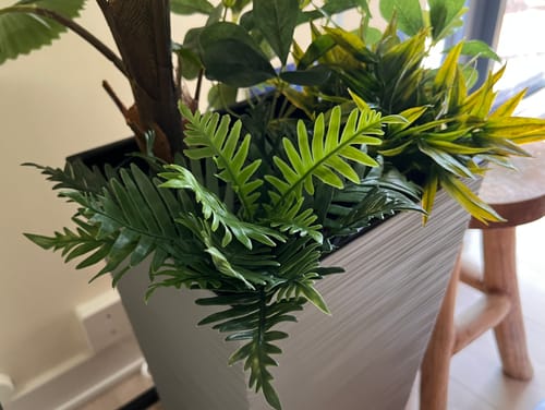 Customer photo review of Pteris Kunstplant 20cm