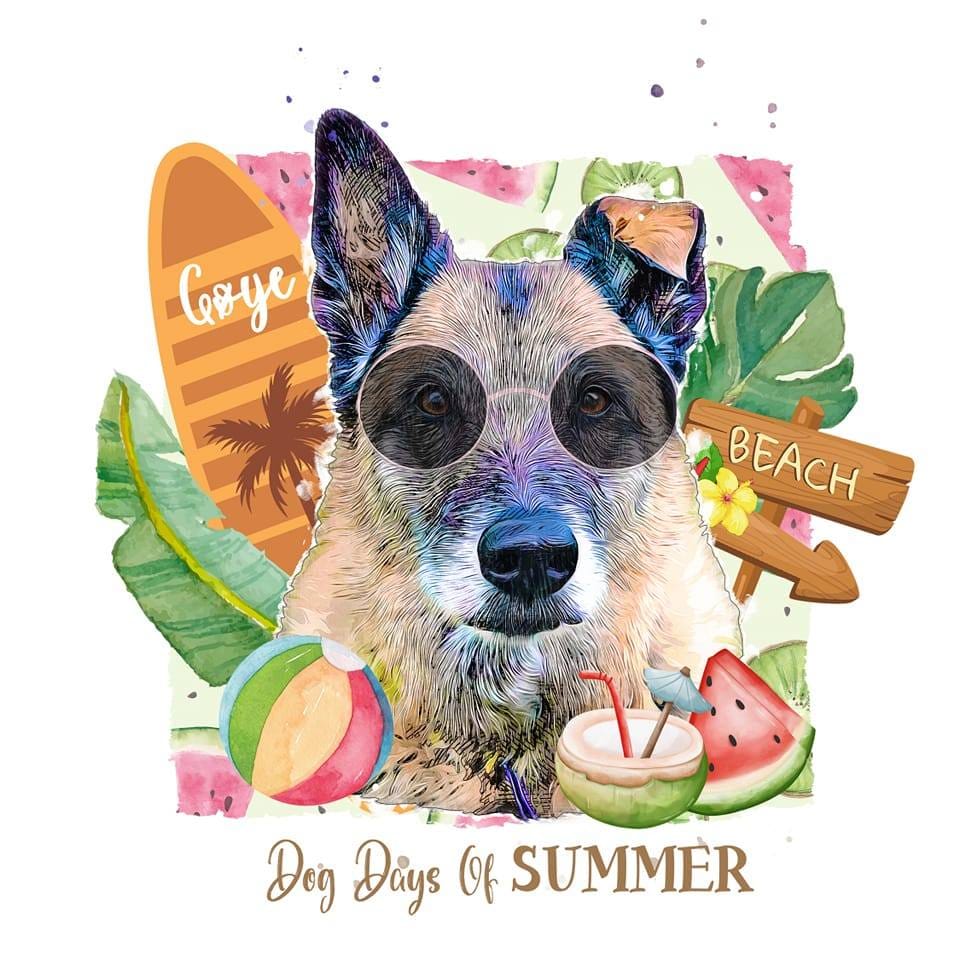 Customer photo review of Pet Pop Art - Summer 2024 (SC)