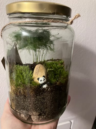 Customer photo review of Flaschengarten-Kindergeburtstags-Set