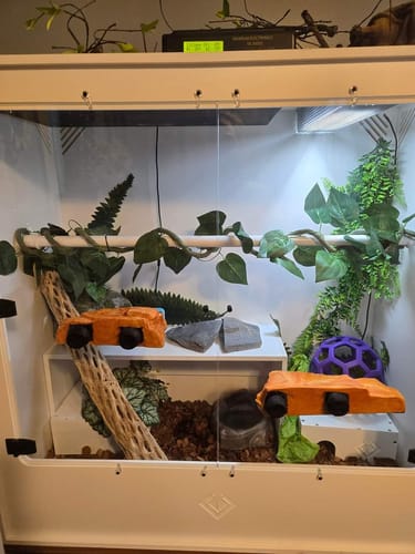Customer photo review of XA3-BIO36/18 (36Lx36Hx18D) - STACKABLE