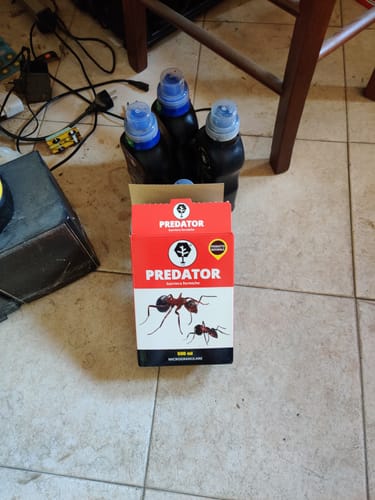 Customer photo review of PREDATOR CB® X2 (barriera formiche)
