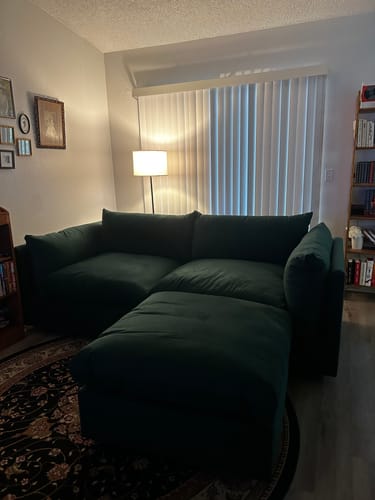 Customer photo review of Soco Sofa