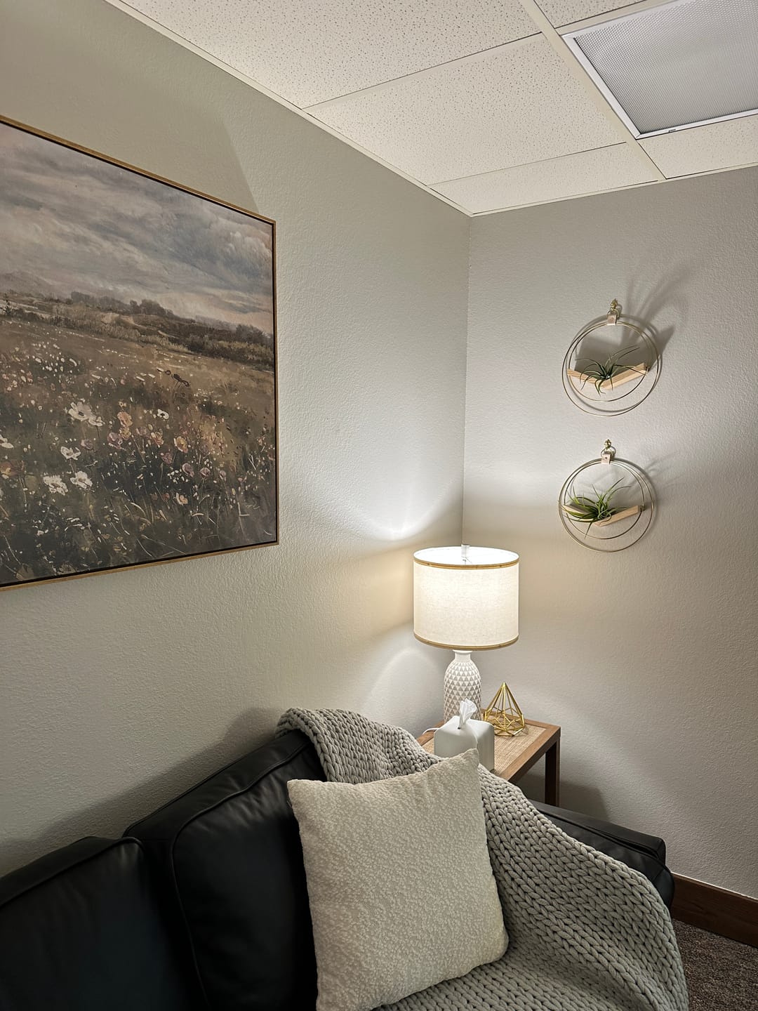Customer photo review of Air Plant Hanger - Classic Duo