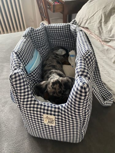 Customer photo review of Trasportino Cotone Vichy Navy