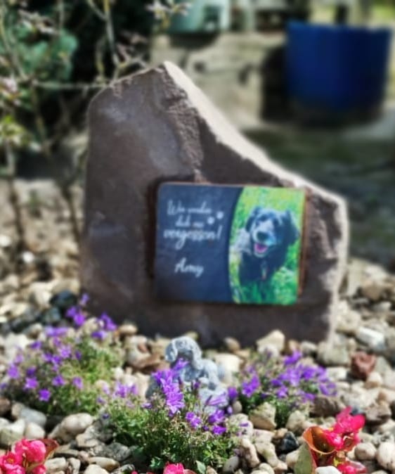 Customer photo review of Hunde Gedenktafel mit Foto & Spruch (UV- & Wetterfest)