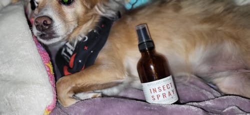 Customer photo review of Insect Spray & Repellant CBD - Human & Pet : MOST POPULAR!