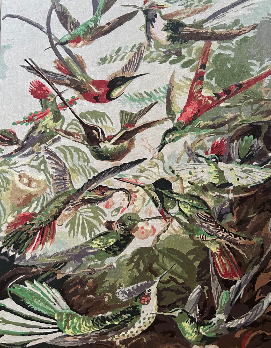 Customer photo review of Malen nach Zahlen - Trochilidae–Kolibris von Ernst Haeckel