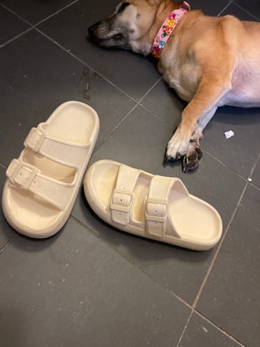 Customer photo review of Happy Cushers