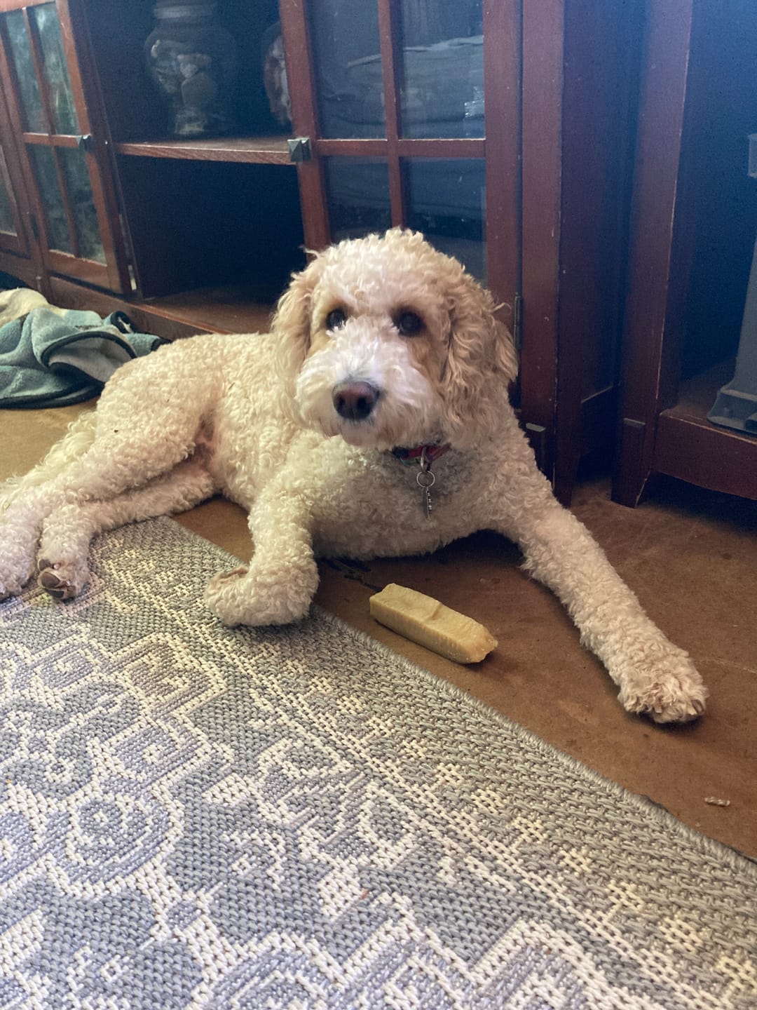 Customer photo review of Himalayan Yak Chew (EXTRA LARGE)