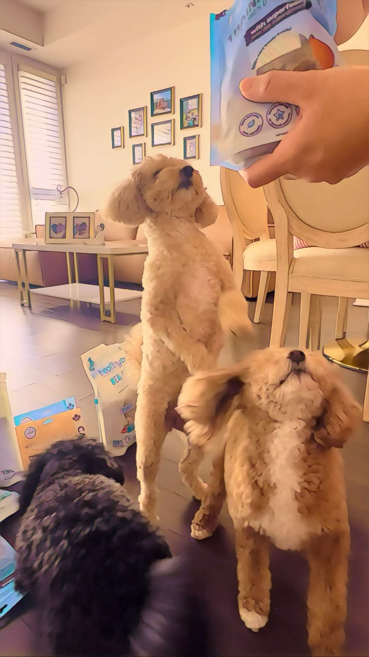 Customer photo review of Beef Mini Training Treats