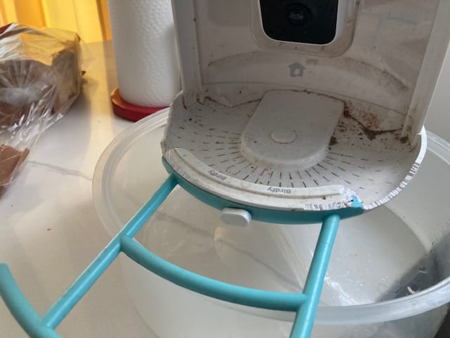 Customer photo review of Birdfy Shield