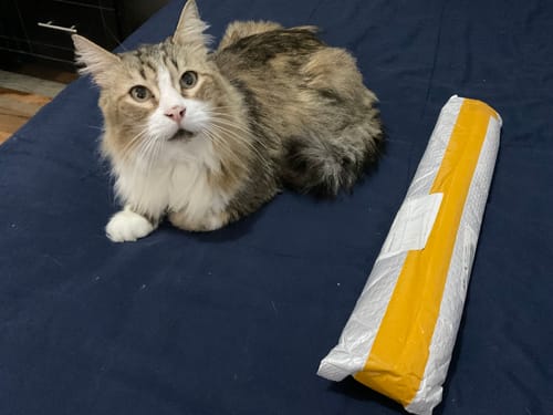 Customer photo review of Custom Paint By Numbers Kit