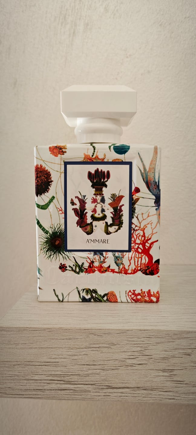 Customer photo review of CARTHUSIA - A'MMARE