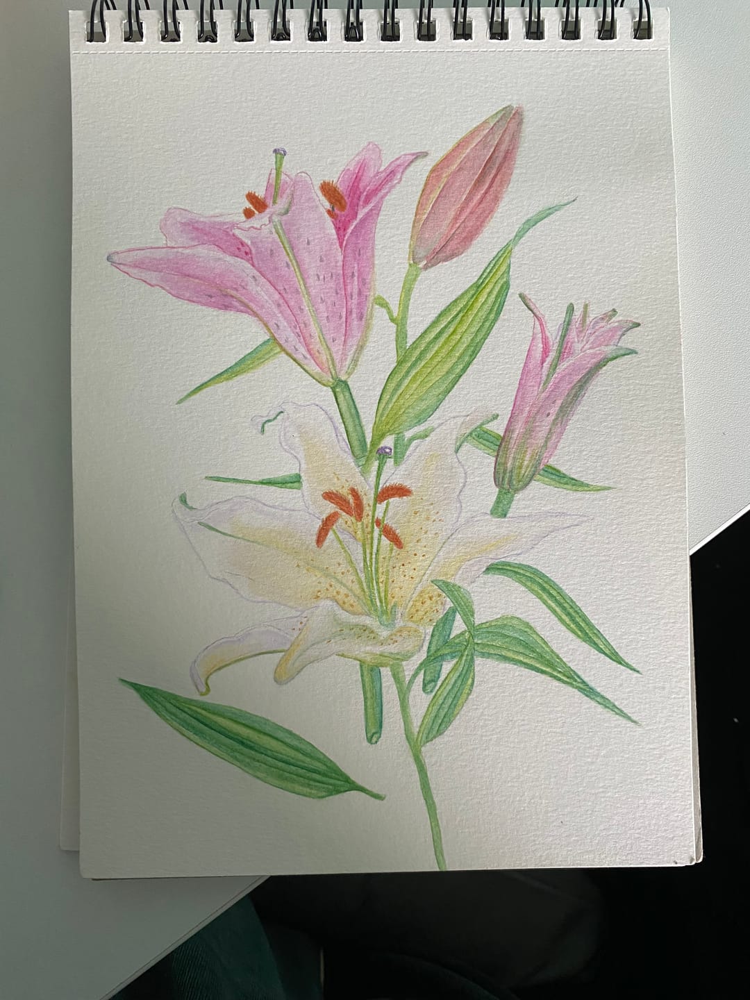 Customer photo review of Bruynzeel Rijks Museum - Set 24 Lápices de Colores Acuarelables