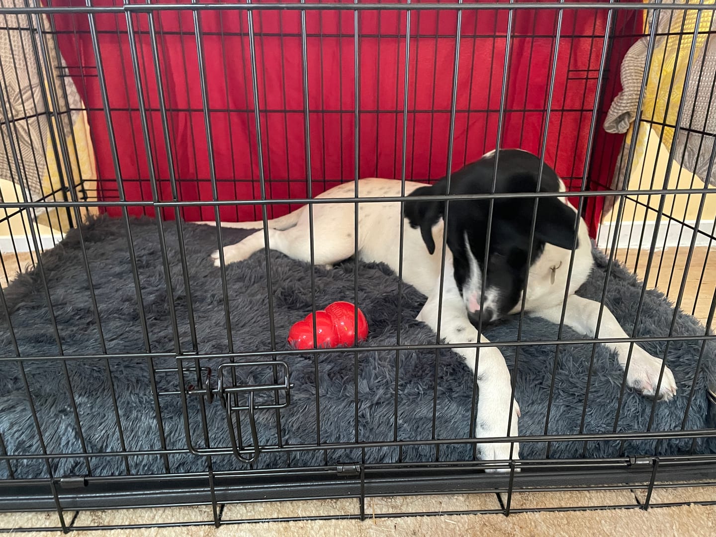Customer photo review of Brooklyn® Ultra Memory Foam Bed