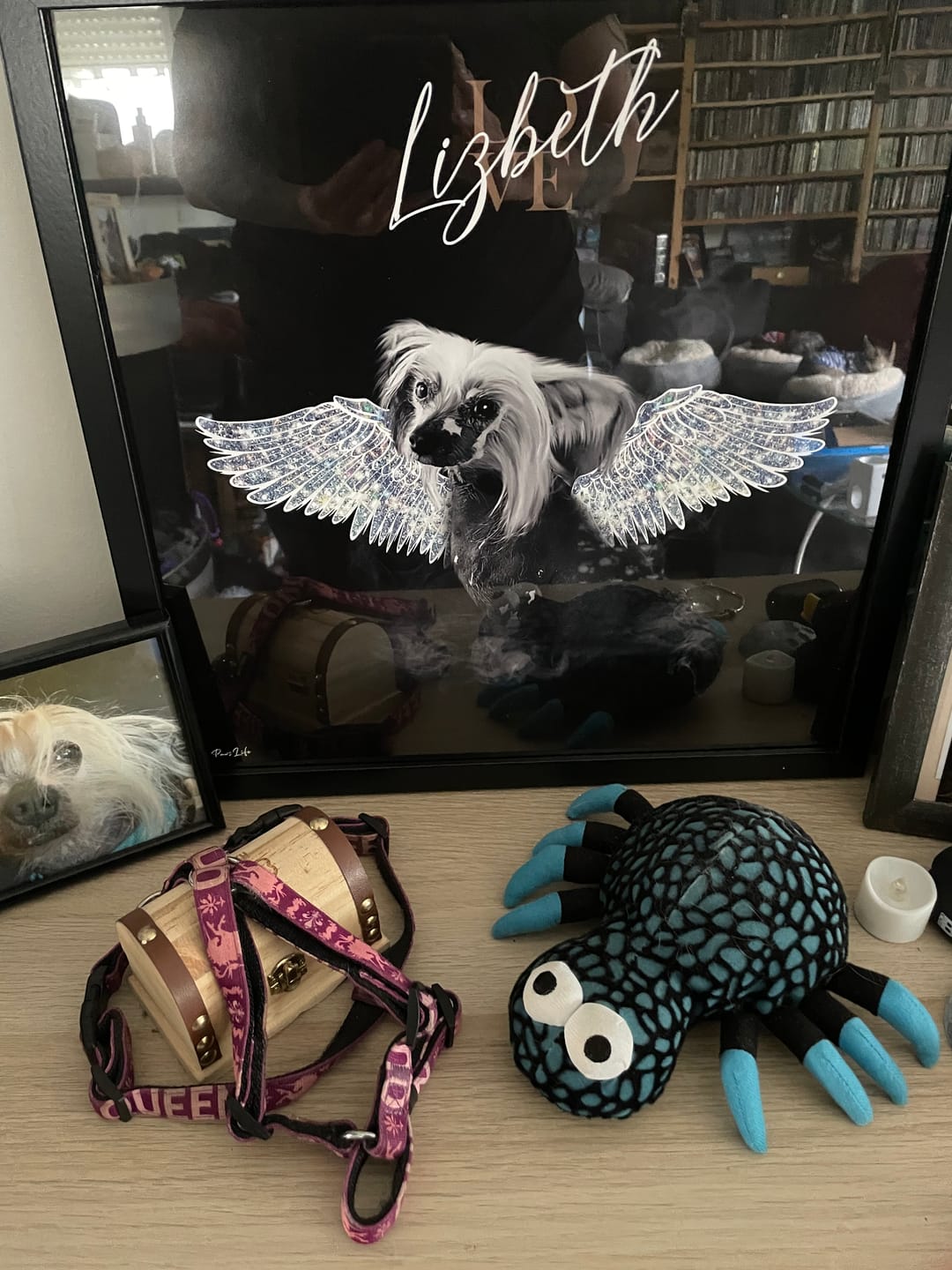 Customer photo review of Personalisiertes Portrait - Diamant Engel Stil
