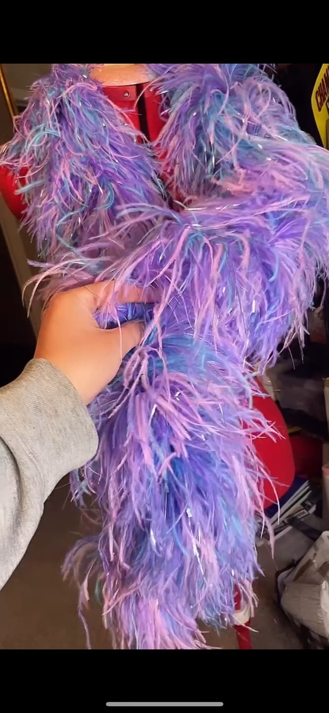 Customer photo review of Ostrich Multi Color Boa