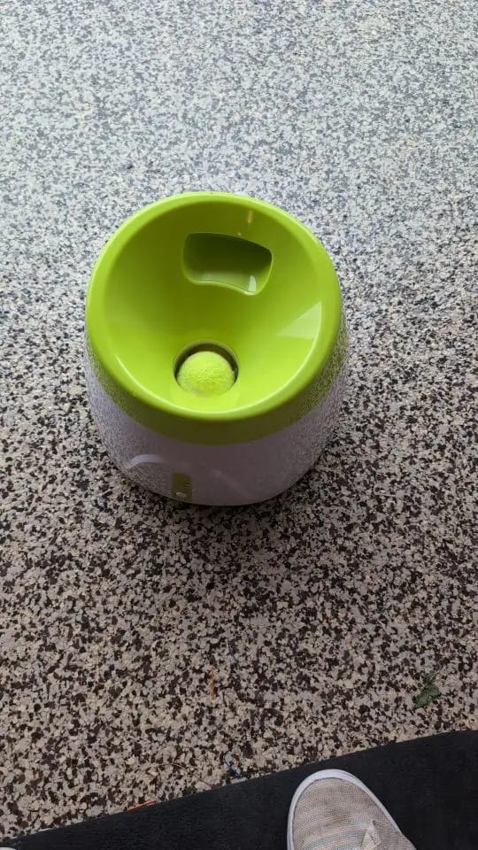 Customer photo review of Automatic Dog Ball Launcher