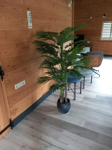 Customer photo review of Kunstpalm 180cm