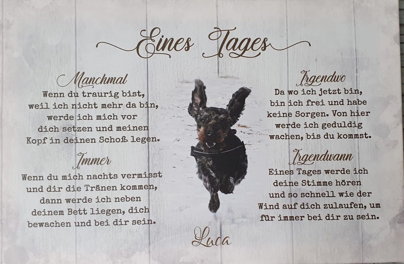 Customer photo review of Eines Tages - Individuelle Leinwand