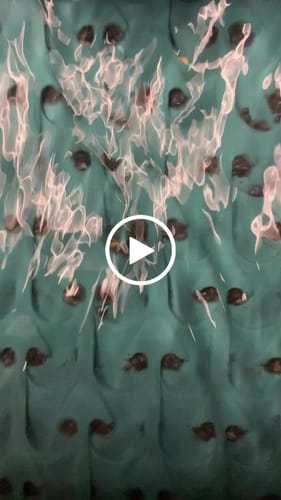 Customer video review of Clean-Up Buddy Kit