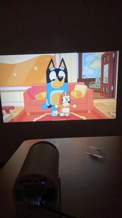Customer photo review of Pocket Cinema