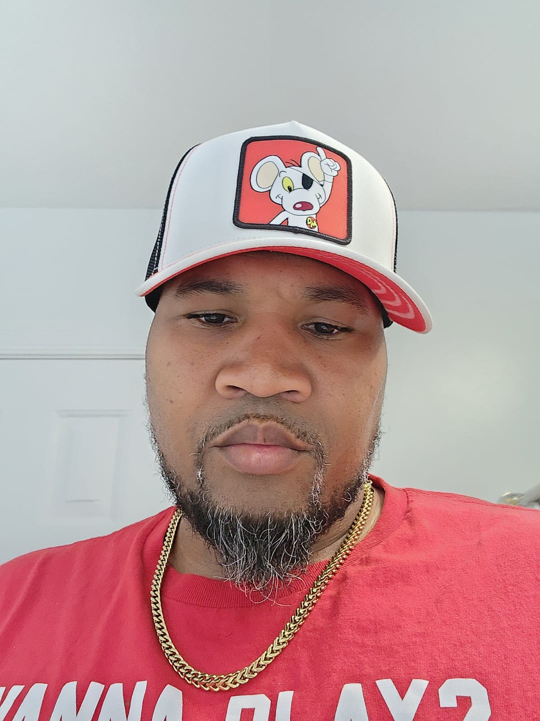 Customer photo review of OVERLORD X Danger Mouse: Danger Mouse